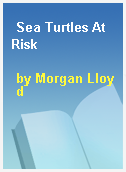 Sea Turtles At Risk