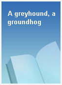 A greyhound, a groundhog