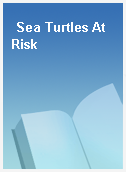 Sea Turtles At Risk