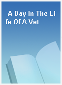 A Day In The Life Of A Vet