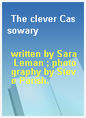 The clever Cassowary