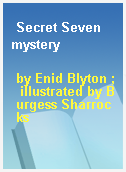 Secret Seven mystery