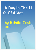 A Day In The Life Of A Vet